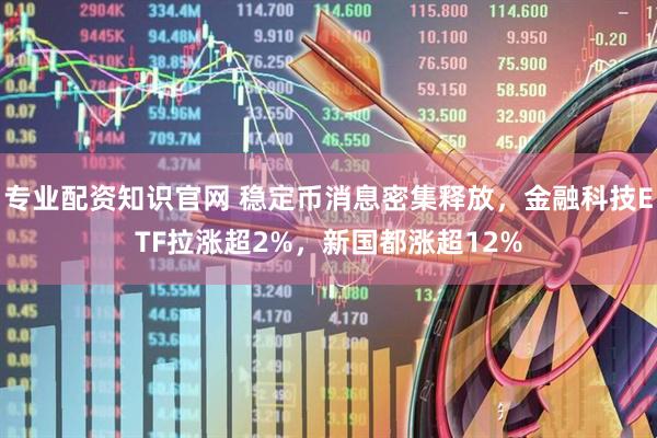 专业配资知识官网 稳定币消息密集释放，金融科技ETF拉涨超2%，新国都涨超12%