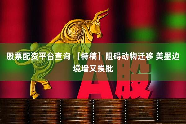 股票配资平台查询 【特稿】阻碍动物迁移 美墨边境墙又挨批