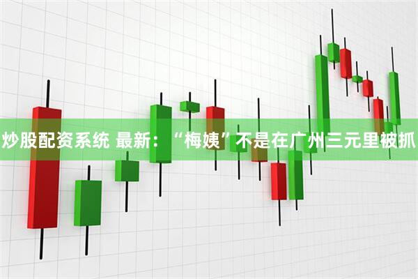 炒股配资系统 最新：“梅姨”不是在广州三元里被抓